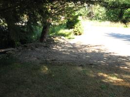 yard work 2010